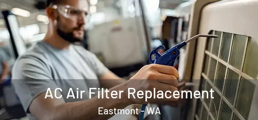 AC Air Filter Replacement Eastmont - WA