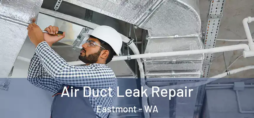  Air Duct Leak Repair Eastmont - WA