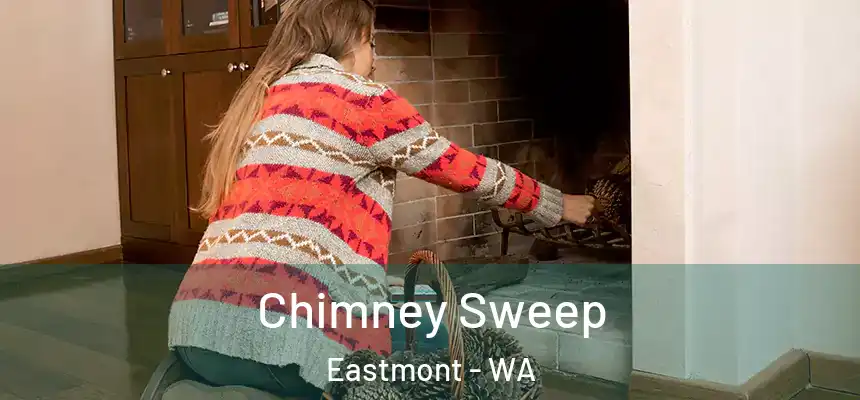  Chimney Sweep Eastmont - WA