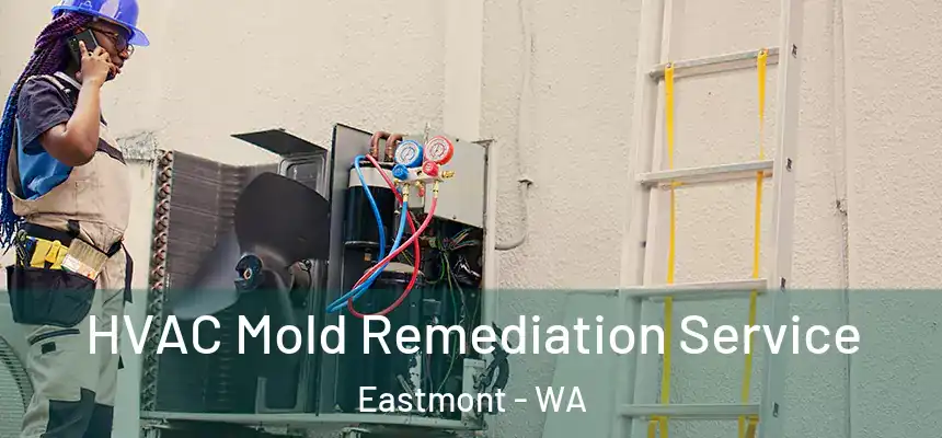  HVAC Mold Remediation Service Eastmont - WA