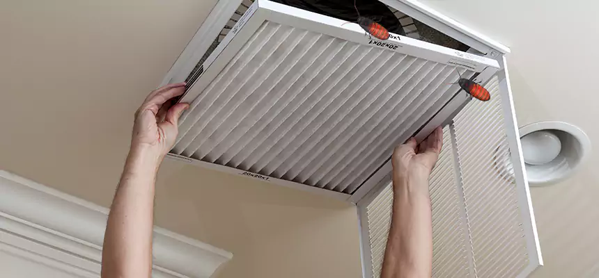 Preventive Cockroach-Proofing for Ducts in Eastmont