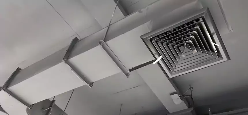 Restorative Allergy Relief Vent Cleaning – Coil, Blower & Housing Detail in Eastmont