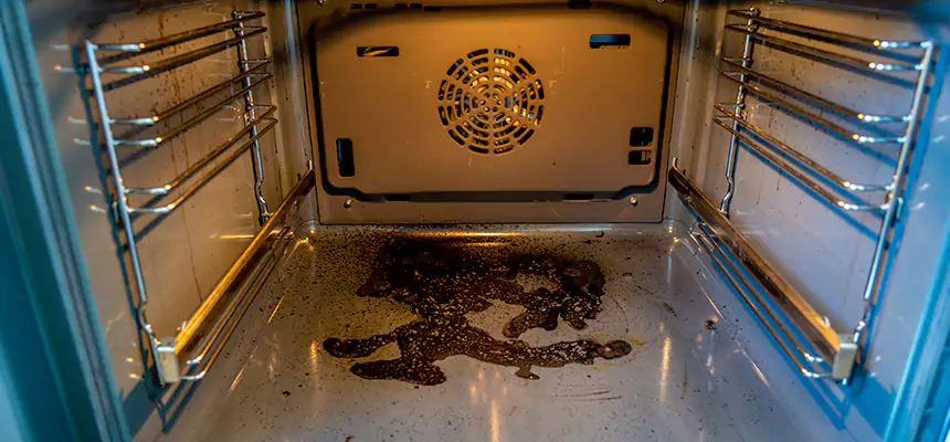 Our Dryer Vent Mold Cleaning Services in Eastmont, WA