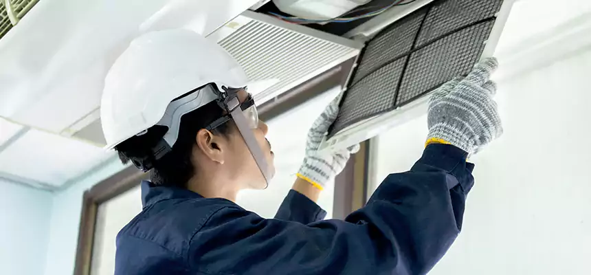 Our Mold & Mildew Removal from Air Ducts Services in Eastmont, WA