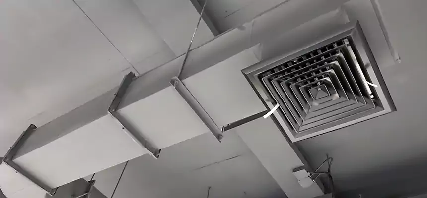 Our Pest Removal From Ducts Services in Eastmont, WA