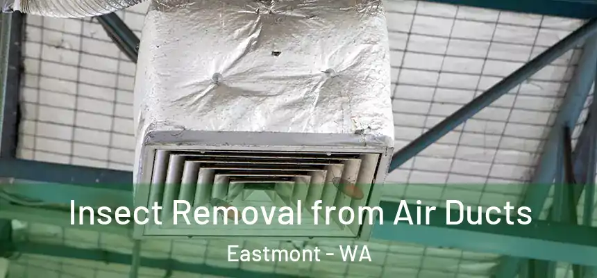  Insect Removal from Air Ducts Eastmont - WA