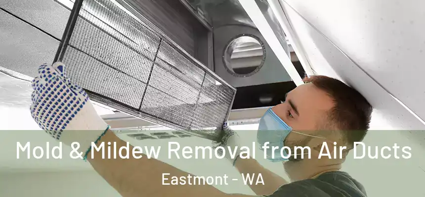  Mold & Mildew Removal from Air Ducts Eastmont - WA