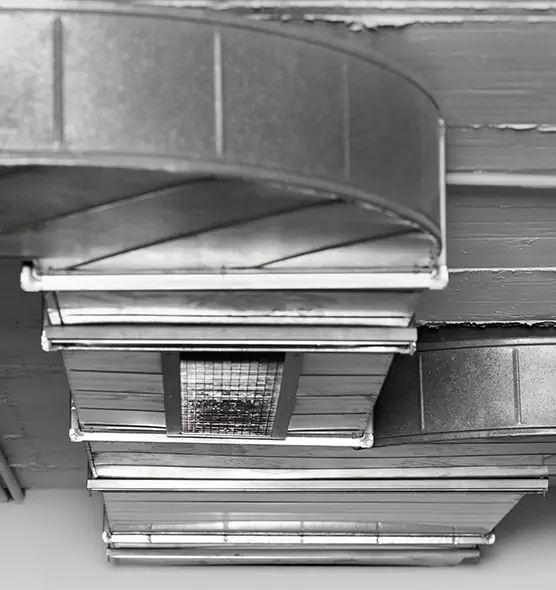 Professional Air Duct Pest Removal in Eastmont, WA