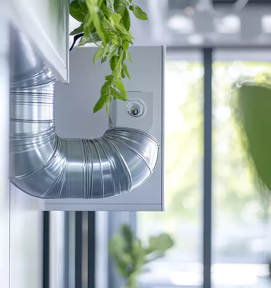 Professional Eco-Safe Dryer Vent Cleaning in Eastmont, WA